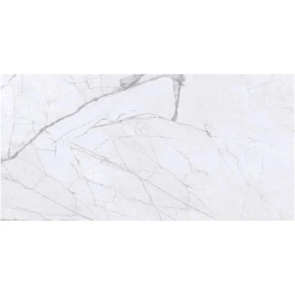 Load image into Gallery viewer, grey glossy greyberg tile, 30x60