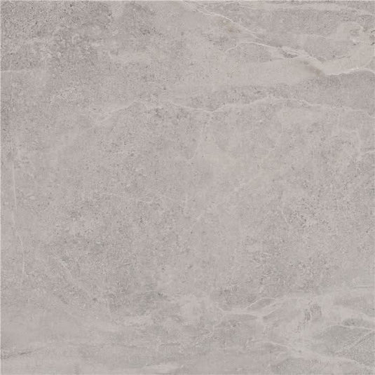 grey matt lithos tile 100x100cm