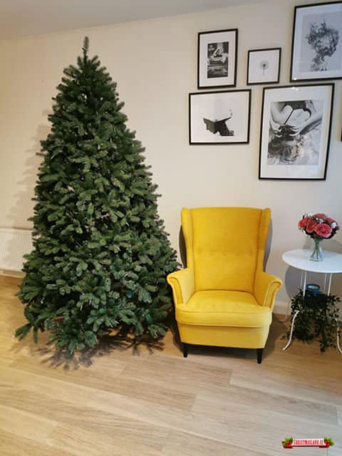Load image into Gallery viewer, AMAL Newberry Spruce Christmas Tree – 7.5ft (2.2m) | 252055