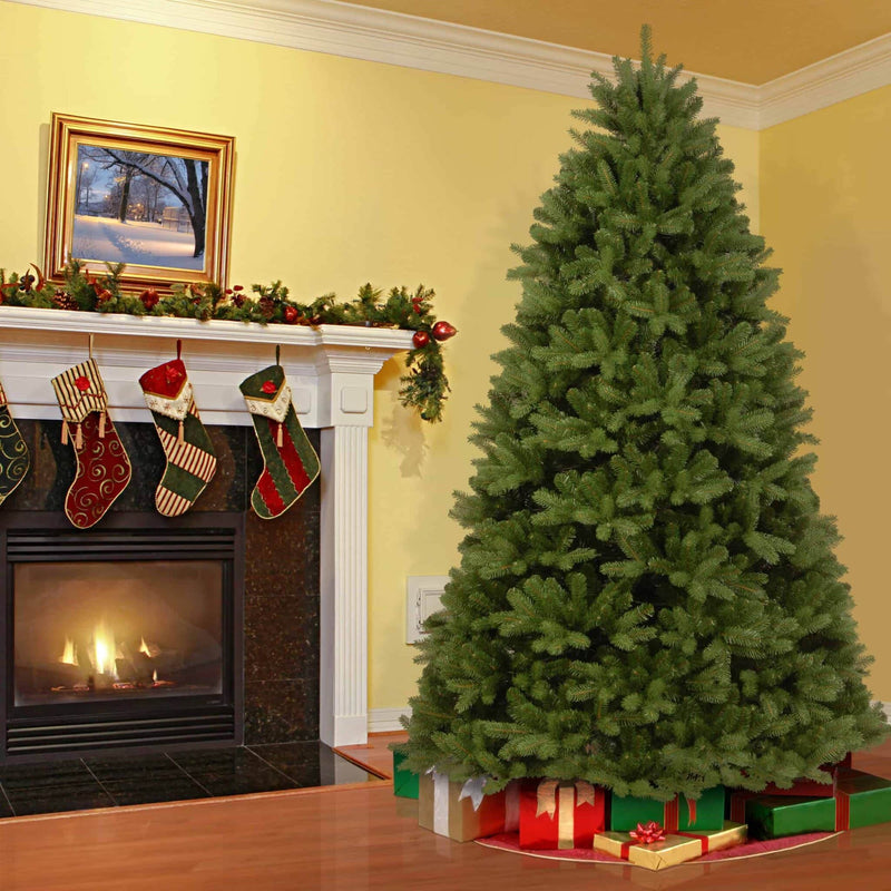 Load image into Gallery viewer, AMAL Newberry Spruce Christmas Tree – 7.5ft (2.2m) | 252055