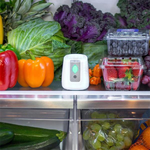 Load image into Gallery viewer, PureAir Fridge Air Purifier | 50009