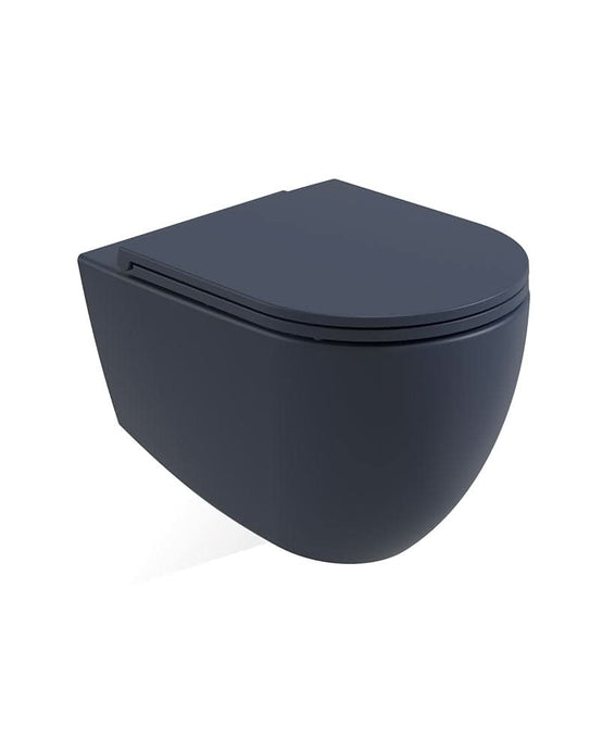 wall hung toilet