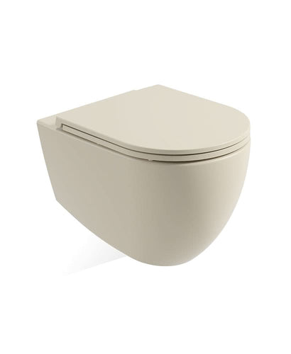 wall hung toilet