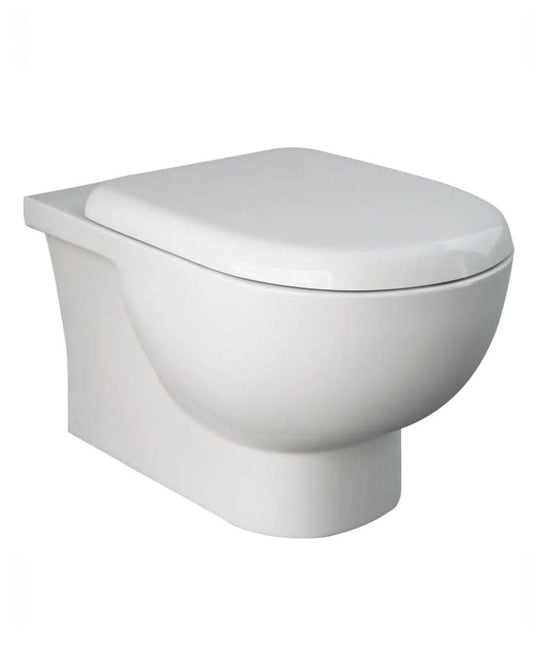 wall hung toilet