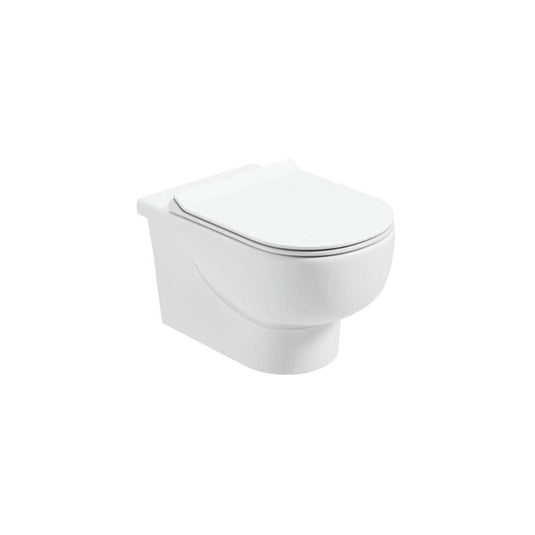 wall hung toilet