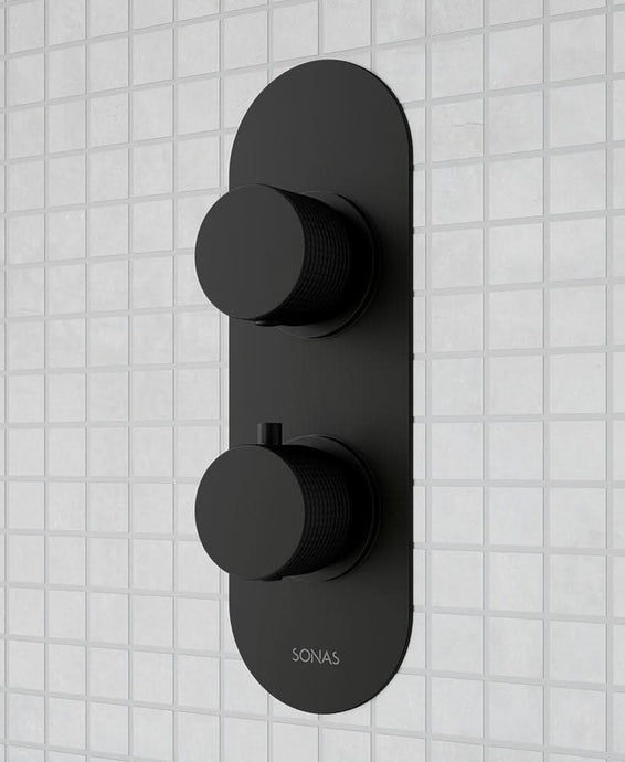 shower valve with dual control