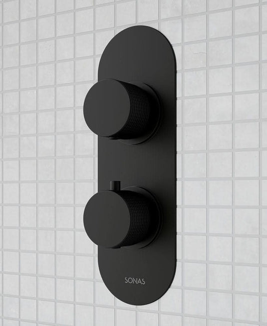 shower valve with dual control