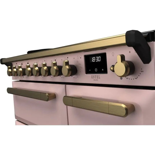 Pink Range Cooker with Gold Handles on White Background 