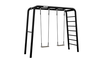 Play base set with two swings and a climbing ladder