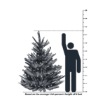 AMAL FEEL REAL® NEWBERRY® SPRUCE SLIM 2.2M (7.5') | 252057 | PEND2-502-75