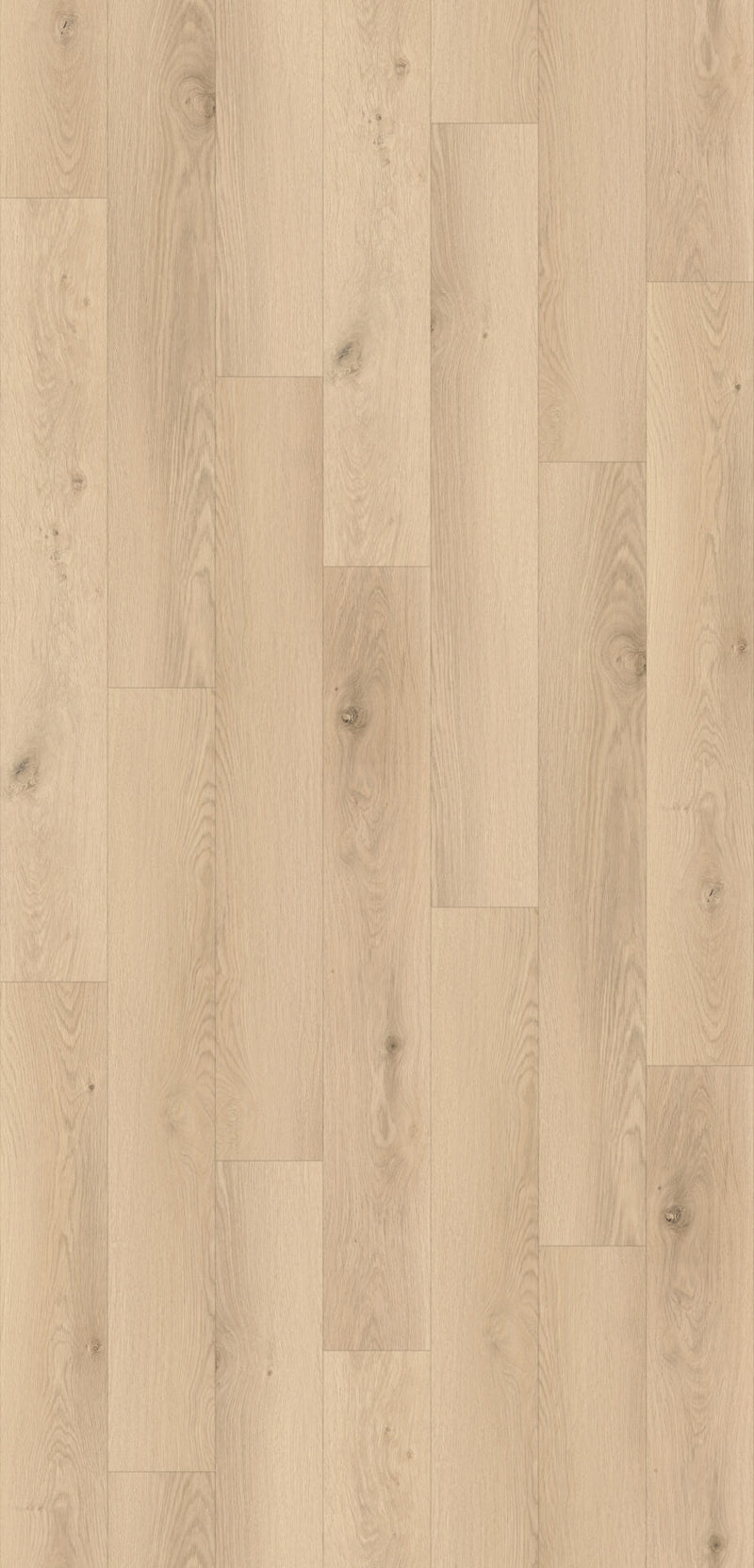 Load image into Gallery viewer, Canadia Annalee Oak Laminate 12mm | 1.83M2 | AC5 | 8086
