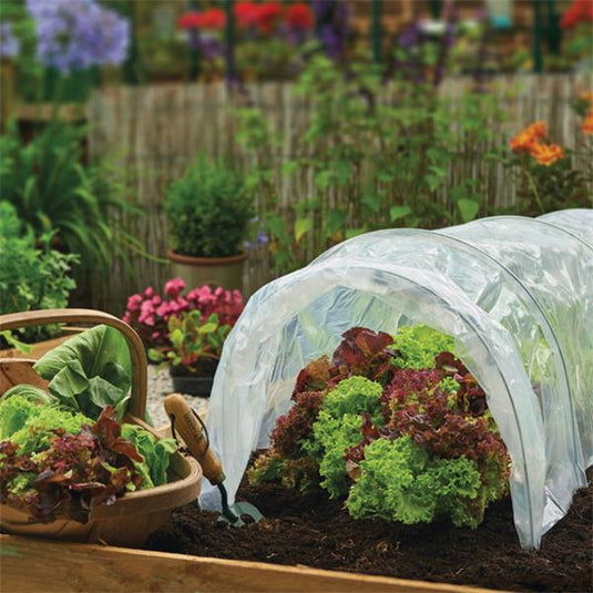 Gardman Polythene Grow Tunnel | 3m | Clear | 8775