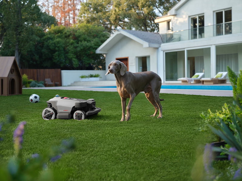 Завантажте зображення в засіб перегляду галереї, Roborock RockMow Z120 4 Wheel Drive LiDAR Robotic Mower | 2000m2 | Z120LIDAR
