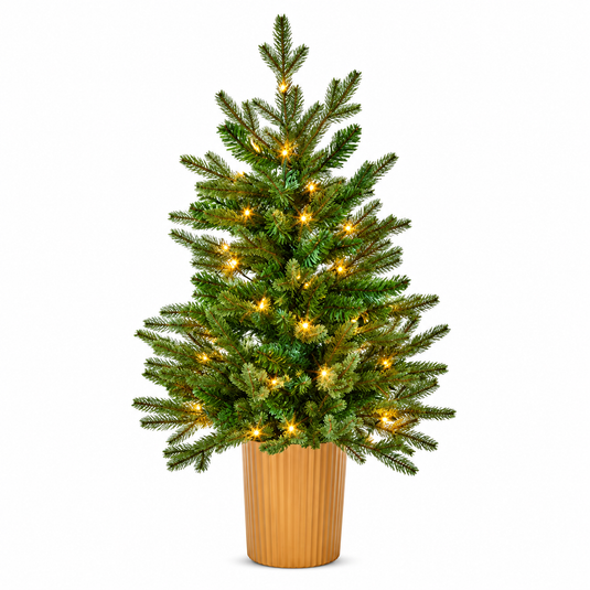 Premier Potted Eldon Fir Tree with 50 LEDs | 3ft | 302114