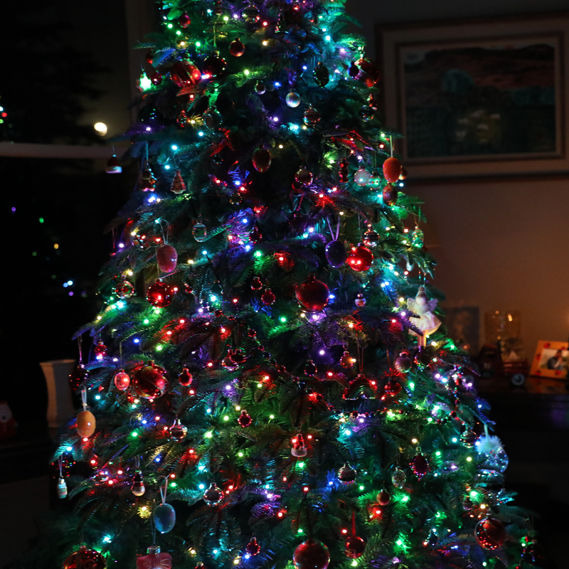 Załaduj obraz do przeglądarki galerii, Portland Fir 600 String Lights | LIT3
