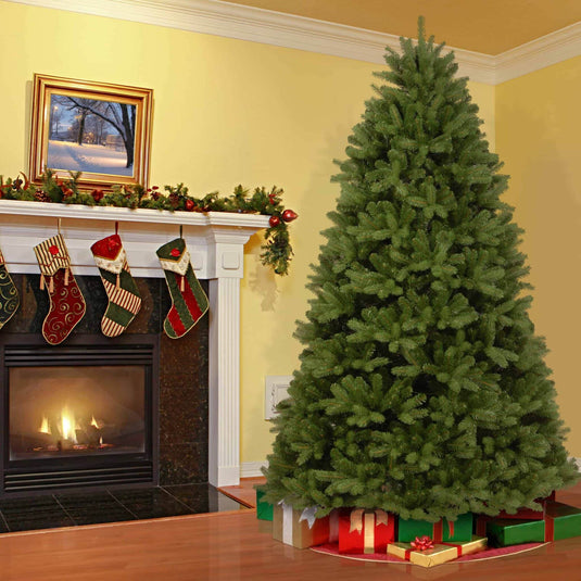 AMAL Newberry Spruce Christmas Tree – 7.5ft (2.2m) | 252055