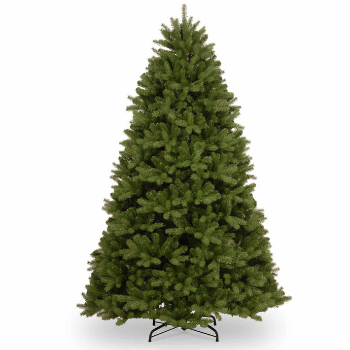 AMAL Newberry Spruce Christmas Tree – 7.5ft (2.2m) | 252055