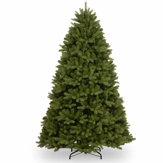 AMAL Newberry Spruce Christmas Tree – 7.5ft (2.2m) | 252055