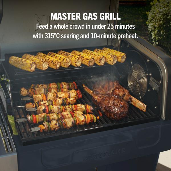 Завантажте зображення в засіб перегляду галереї, Ninja FlexFlame Outdoor Cooking System 5-in-1 Grill &amp; Smoker | PG301UKBL
