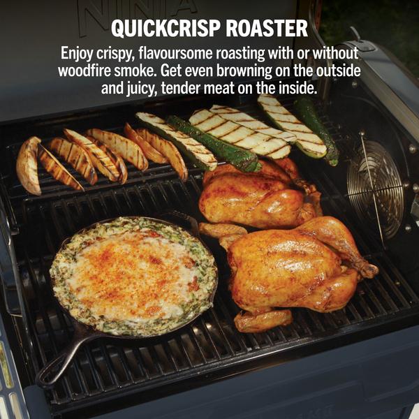 Завантажте зображення в засіб перегляду галереї, Ninja FlexFlame Outdoor Cooking System 5-in-1 Grill &amp; Smoker | PG301UKBL
