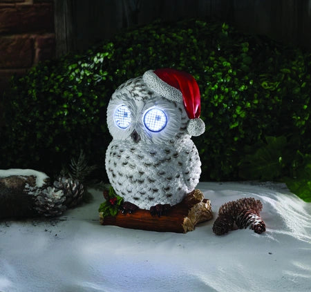 Blinkin' Snowy | 2535168