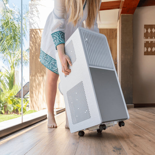 Cecotec Potable 9000 BTU Air Conditioner | 081641