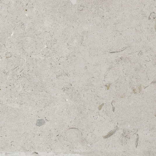 Halo Carolina Tile |  Blanco | 60x90cm | 0.54m2 | HECOT083