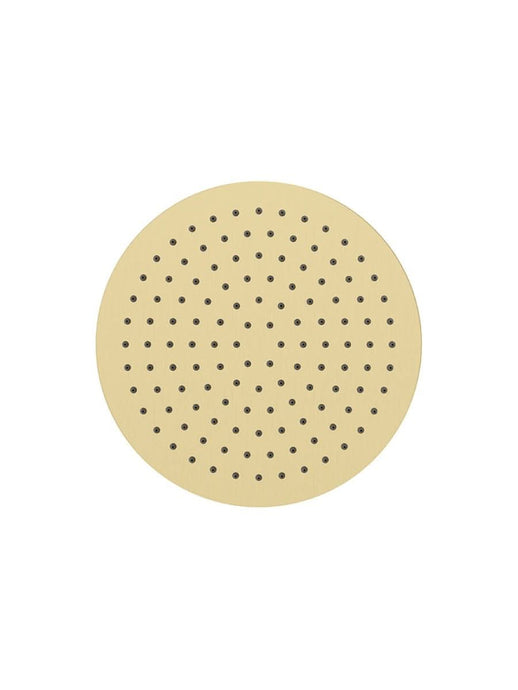 thin shower head in brushed gold